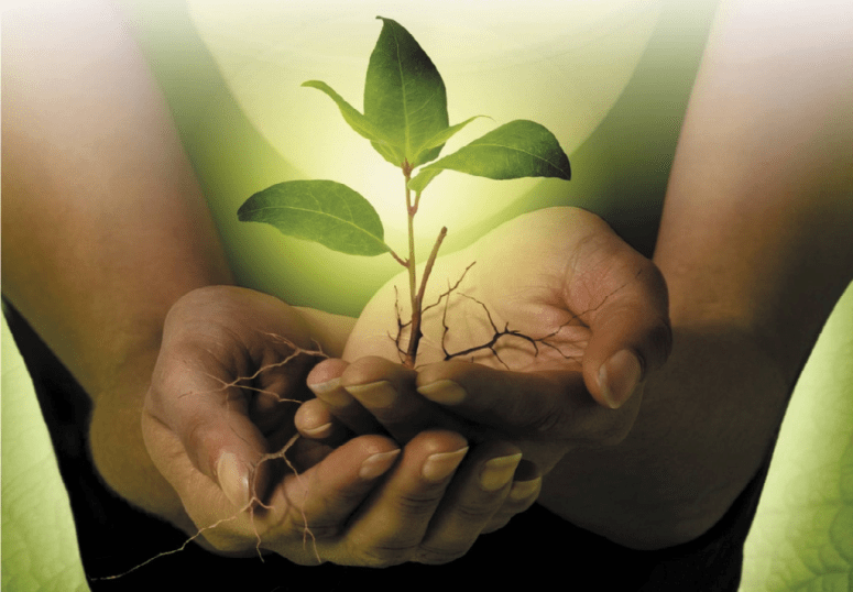 c35981f3b687c66d024dcad1629f20dc